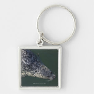 Seal swimming under the water 2 key ring
