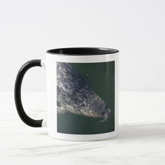 Seal swimming under the water 2 mug (Left)
