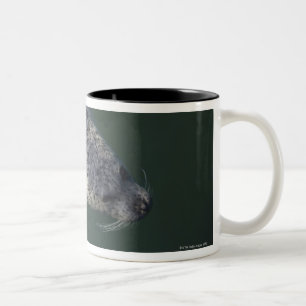 Seal swimming under the water 2 Two-Tone coffee mug