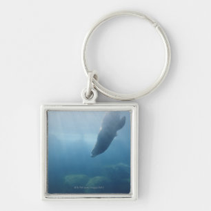 Seal swimming under the water key ring