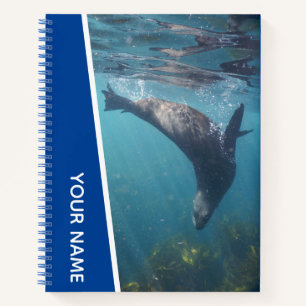 Seal Swimming Underwater, Australia, Blue Notebook