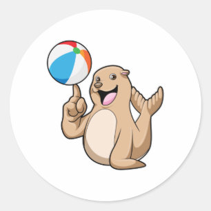 Seal Water Water polo