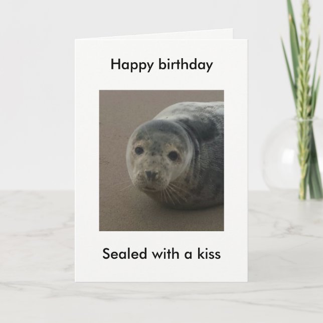 Sealed with a kiss cute seal pup birthday card. card (Front)