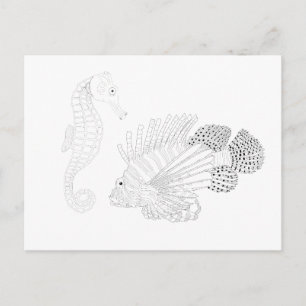 Sealife Adult Colouring Postcard