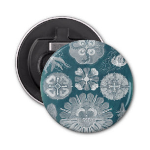 Sealife Blueprint IV Bottle Opener