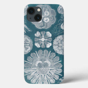 Sealife Blueprint IV iPhone 13 Case