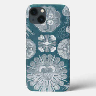 Sealife Blueprint IV iPhone 13 Case
