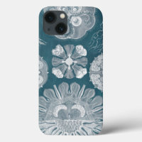 Sealife Blueprint IV