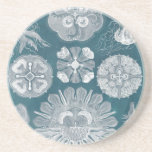 Sealife Blueprint IV Coaster<br><div class="desc">Marine Life</div>