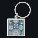 Sealife Blueprint IV Key Ring<br><div class="desc">Marine Life</div>