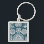 Sealife Blueprint IV Key Ring<br><div class="desc">Marine Life</div>