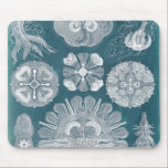 Sealife Blueprint IV Mouse Pad<br><div class="desc">Marine Life</div>
