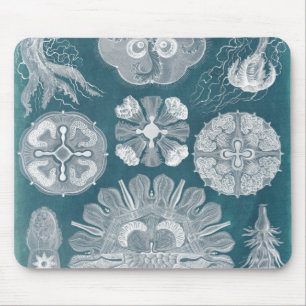 Sealife Blueprint IV Mouse Pad