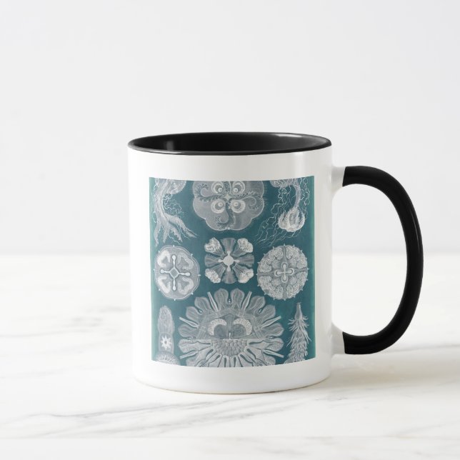 Sealife Blueprint IV Mug (Right)
