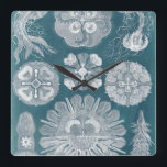 Sealife Blueprint IV Square Wall Clock<br><div class="desc">Marine Life</div>