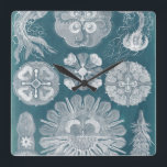 Sealife Blueprint IV Square Wall Clock<br><div class="desc">Marine Life</div>
