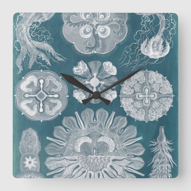 Sealife Blueprint IV Square Wall Clock (Front)