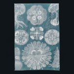 Sealife Blueprint IV Tea Towel<br><div class="desc">Marine Life</div>
