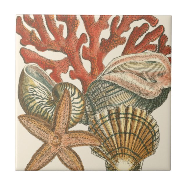 Sealife Collection Ceramic Tile (Front)