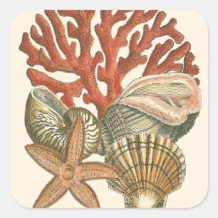 Sealife Collection Square Sticker
