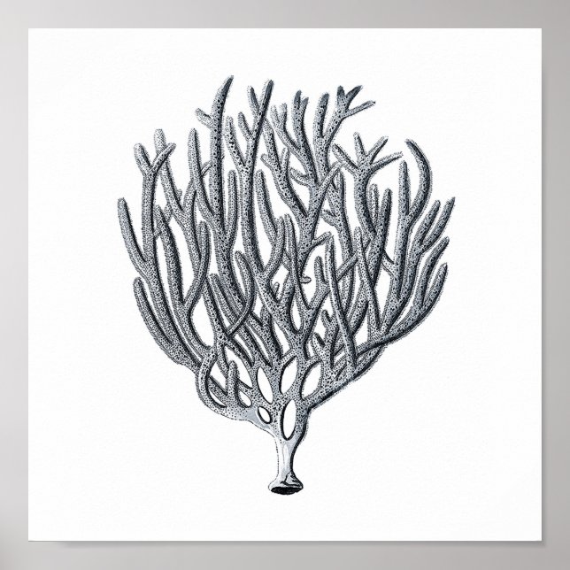 Sealife Group12A Print 1 (Front)