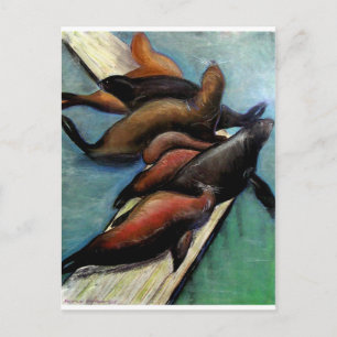 Sealions Postcard