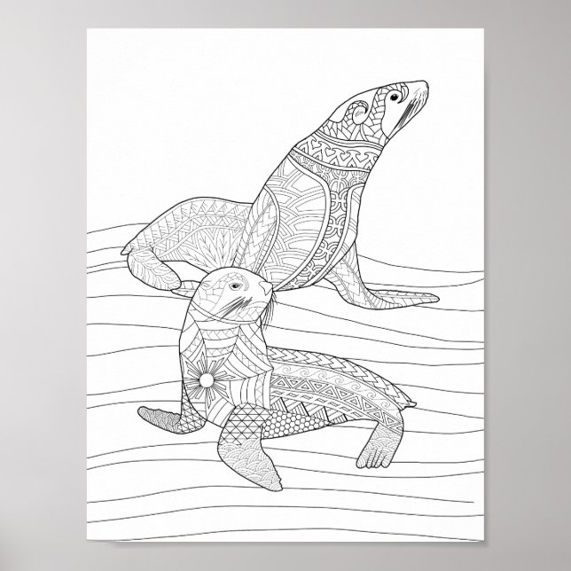 Seals Adult Colouring Poster (Front)