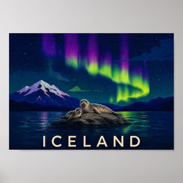 Seals Aurora Iceland Wall Art Print (Front)