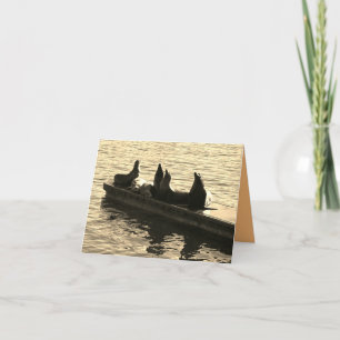 Seals by the Sea Card