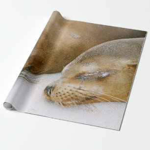 SEALS ENJOYING THE SUNSHINE AND EACH OTHER ON THE  WRAPPING PAPER