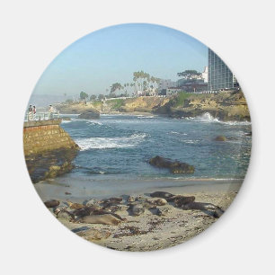 Seals On Sand In La Jolla Cove Magnet