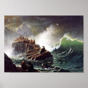 Seals on the Rocks by Albert Biestadt Poster