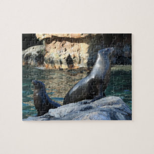 Seals Puzzle
