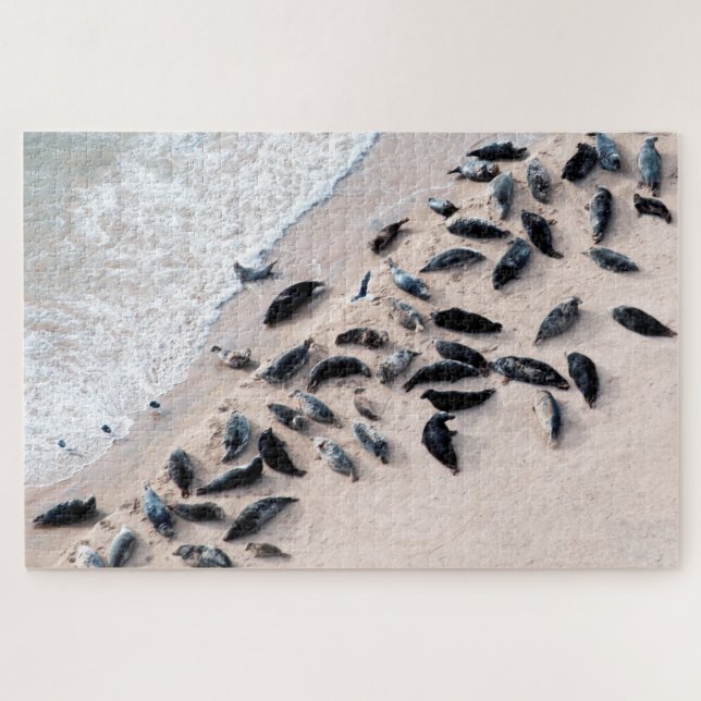 Seals resting on the shore, Jigsaw Puzzle (Horizontal)