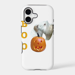 Sealyham Terrier Boo