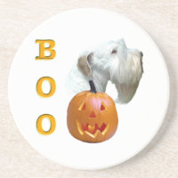 Sealyham Terrier Boo