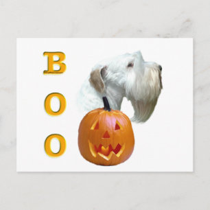 Sealyham Terrier Boo Postcard