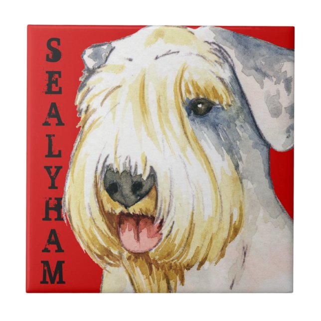 Sealyham Terrier Colour Block Ceramic Tile (Front)