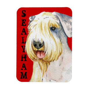 Sealyham Terrier Colour Block Magnet