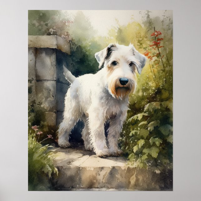 Sealyham Terrier Dog Art Print Poster (Front)