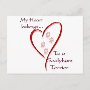 Sealyham Terrier Heart Belongs Postcard