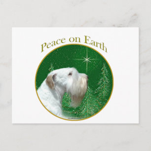 Sealyham Terrier Peace on Earth Postcard