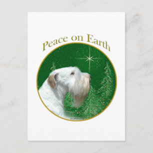 Sealyham Terrier Peace on Earth Postcard