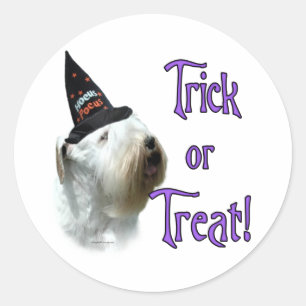 Sealyham Terrier Trick Classic Round Sticker