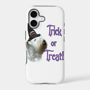 Sealyham Terrier Trick or Treat