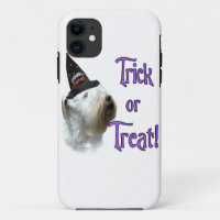 Sealyham Terrier Trick or Treat