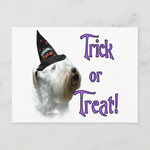 Sealyham Terrier Trick Postcard