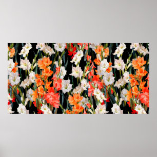Seamless floral pattern. Multicolored gladiolus on Poster