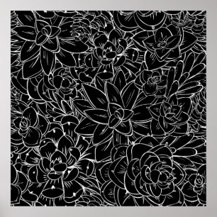 Seamless pattern succulent. Floral vintage design Poster