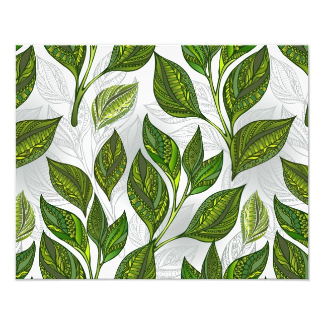 Seamless Pattern with Green Tea Leaves Photo Print (Front)